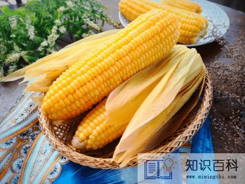 玉米是生着冻还是煮熟了冻着好3