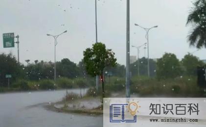 2022年夏天为什么老下雨2