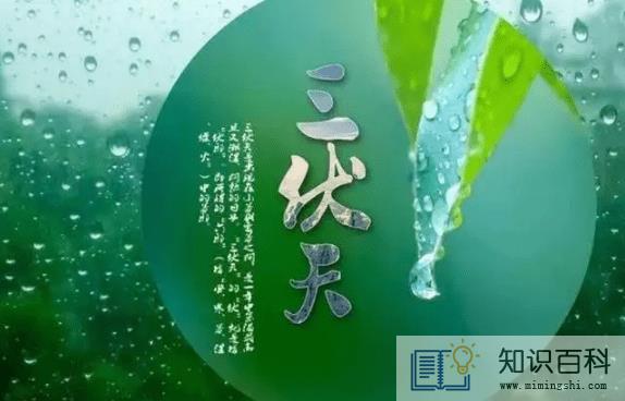 2022年三伏天是公伏还是母伏1
