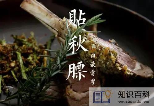 贴秋膘吃什么好2
