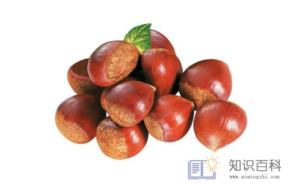板栗煮多长时间可以熟3