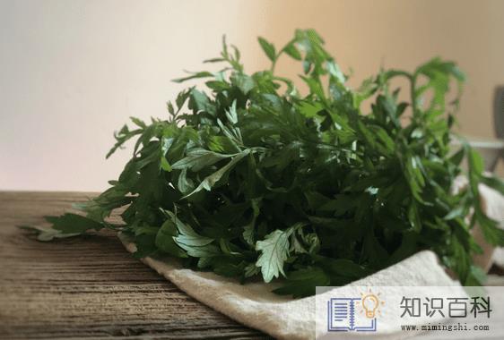艾蒿能吃吗怎么吃1