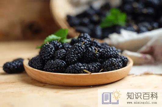 桑葚的吃法有哪几种3