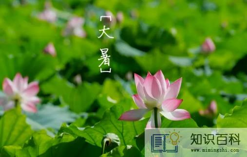 大暑节气到立秋节气中间还热吗2