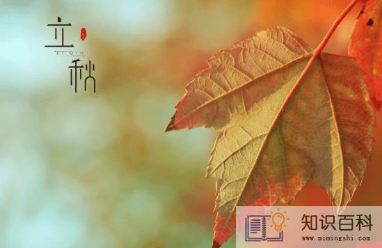 2022年立秋天坑在哪个方位1