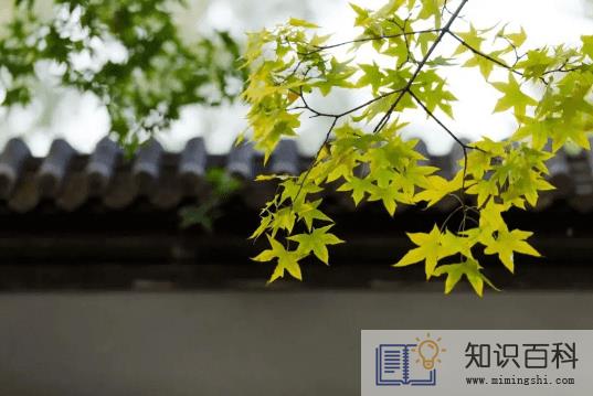 2022年立秋天坑在哪个方位3