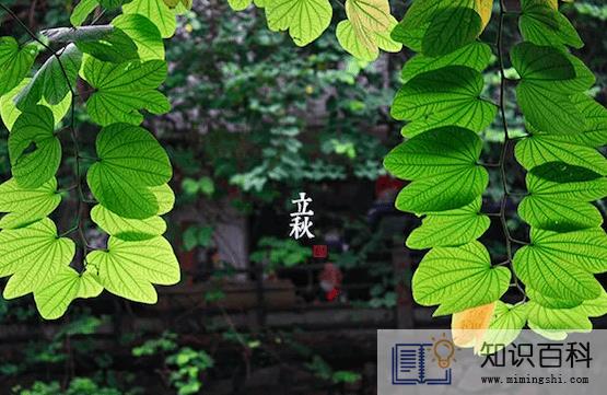 2022年立秋会下雨吗1