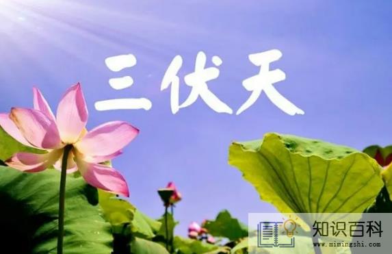 2022年三伏天热不热1