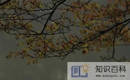 2022北京7月份下雨多吗2