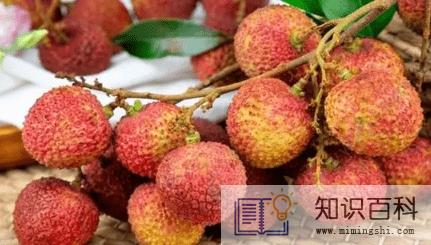 妃子笑荔枝绿色会变红吗2