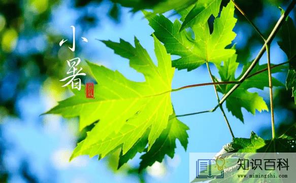 小暑和入伏是一回事吗1