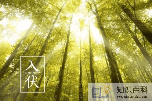 小暑和入伏是一回事吗2
