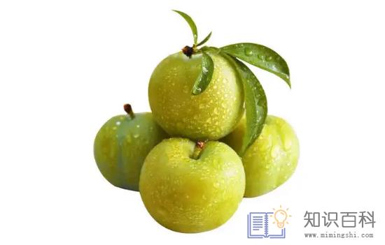 蜂糖李可以放冰箱冷藏吗2