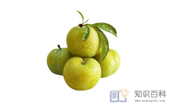 蜂糖李是脱骨李吗3