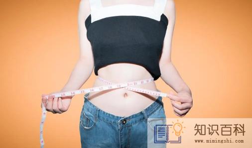 左旋肉碱减肥有用吗1