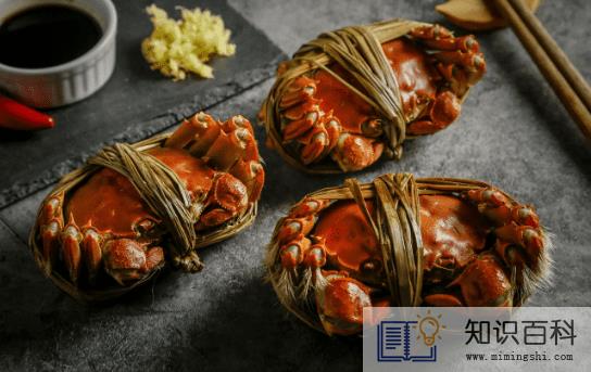 大闸蟹母蟹和公蟹哪个好1