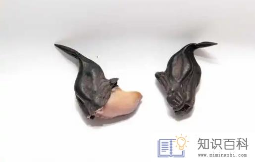 菱角用电饭煲煮的熟吗2