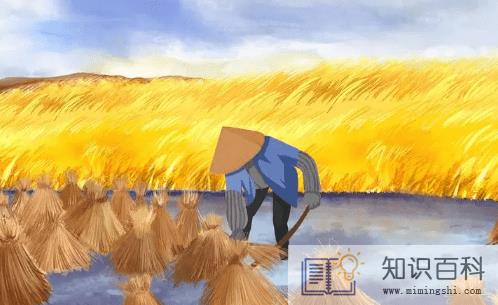 2022年10月份是秋收吗2