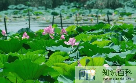 武汉几月份才能凉快1