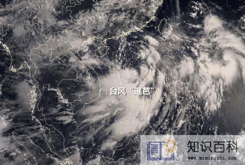 2022年3号台风暹芭影响深圳吗1