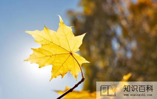 2022年立秋的日子不好吗3
