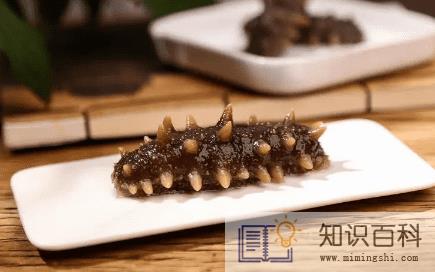 海参如何泡发2