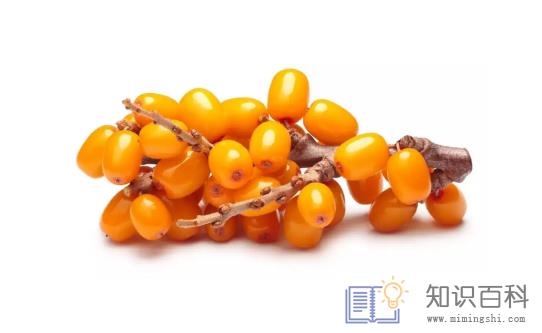 沙棘果维生素c含量比猕猴桃高吗3