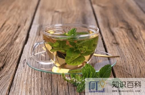 薄荷泡水用老叶还是嫩叶1