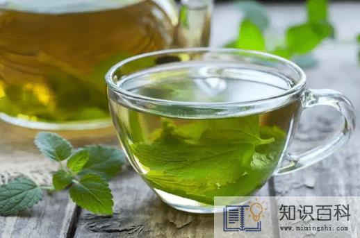 薄荷泡水用老叶还是嫩叶2