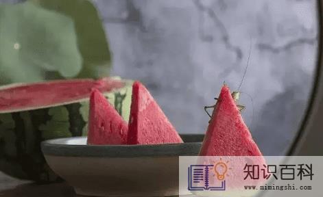为什么三伏天排寒湿最好1