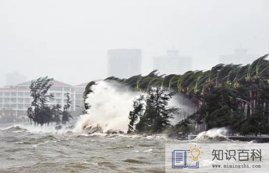 2022年8月有台风吗1