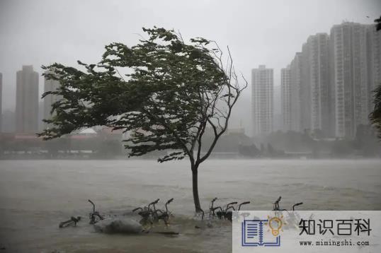 2022年8月有台风吗3