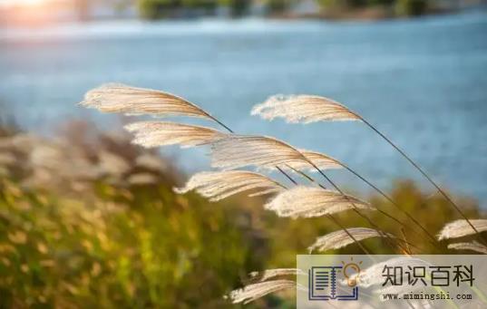 2022年立秋时间预示睁眼秋还是闭眼秋2