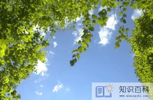 2022年7月几号出梅1