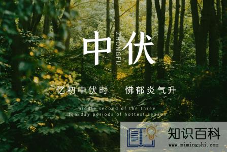 2022年中伏有多少天2