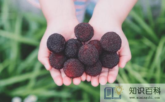 杨梅核吞进肚子会打灰尘吗1