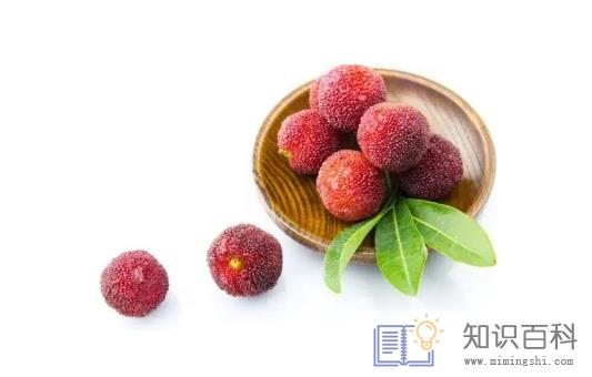 吃杨梅核能帮助消化吗2