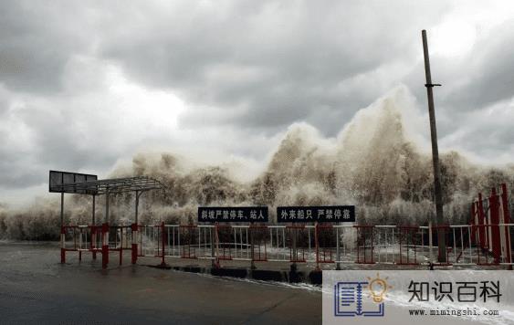 2022年台风多还是少2