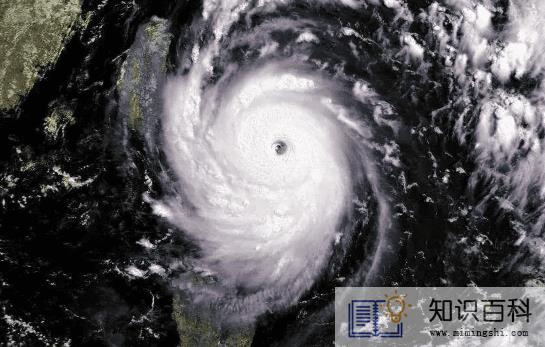 2022年一共有几个台风2