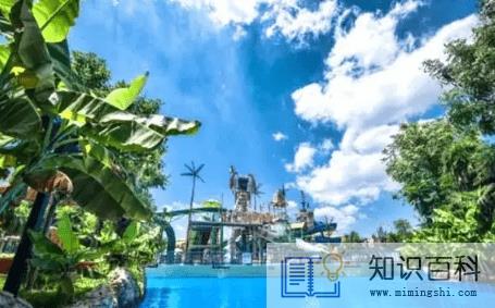 武汉玛雅水上乐园早鸟票是什么意思1