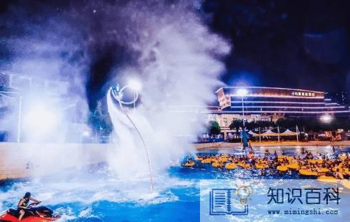 武汉玛雅水上乐园早鸟票是什么意思3