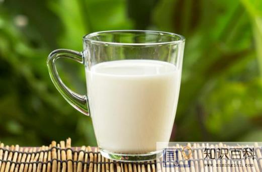 最接近母乳的奶粉是羊奶还是牛奶3
