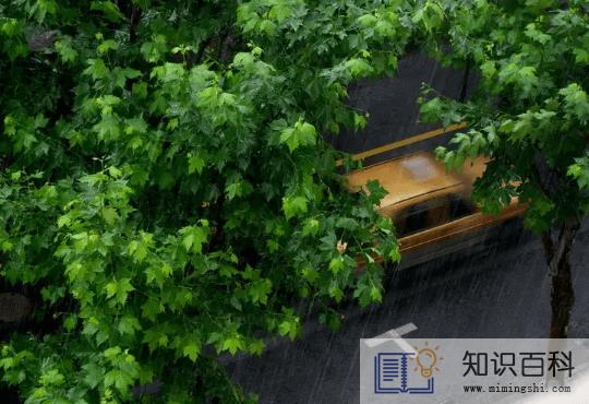 2022年下半年雨水多不多1