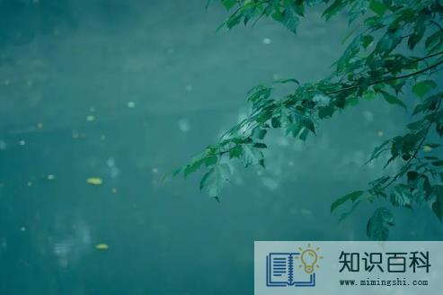 2022年下半年雨水多不多3