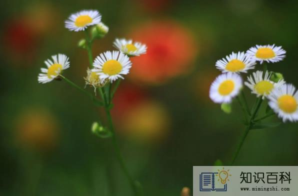 2022年农历5月哪天修坟最好最吉利1