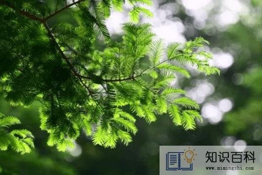 2022年农历5月哪天修坟最好最吉利2