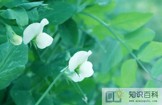 2022年农历5月哪天修坟最好最吉利3