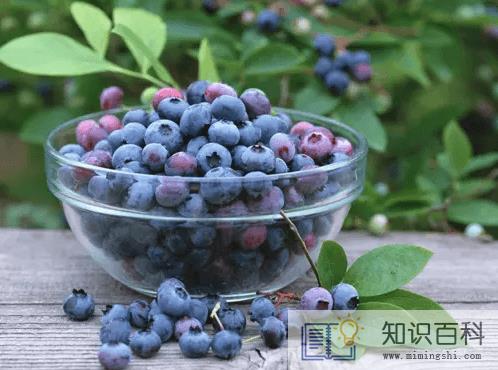 蓝莓表面的白霜是农药残留吗3