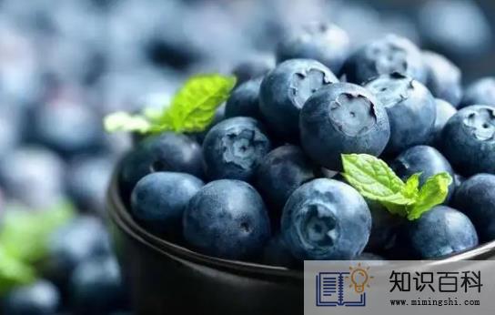 蓝莓上的白霜越多越好吗3