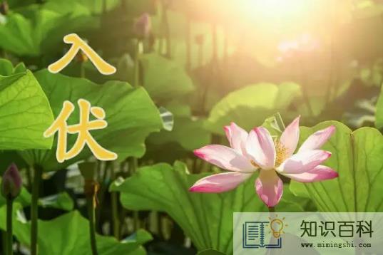 2022年入伏时间和出伏时间表2
